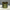 Sidr Powder